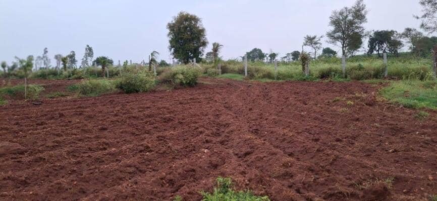 farm lands